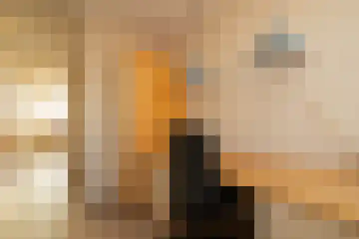 Lindehove 11 Kwintsheul thumbnail 27