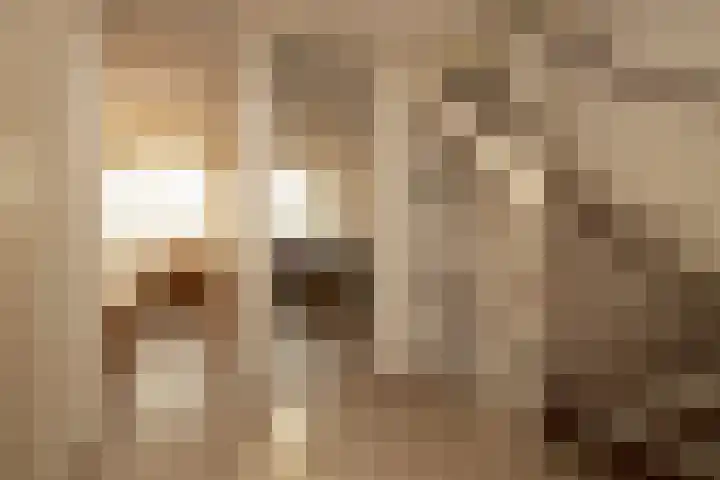 Lindehove 11 Kwintsheul thumbnail 28