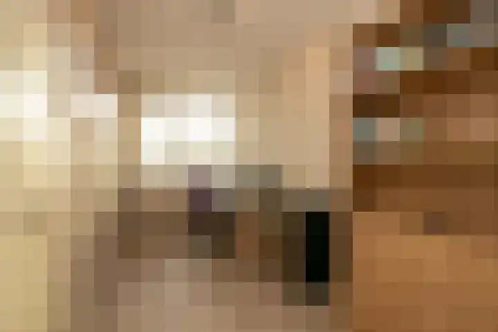 Lindehove 11 Kwintsheul thumbnail 29