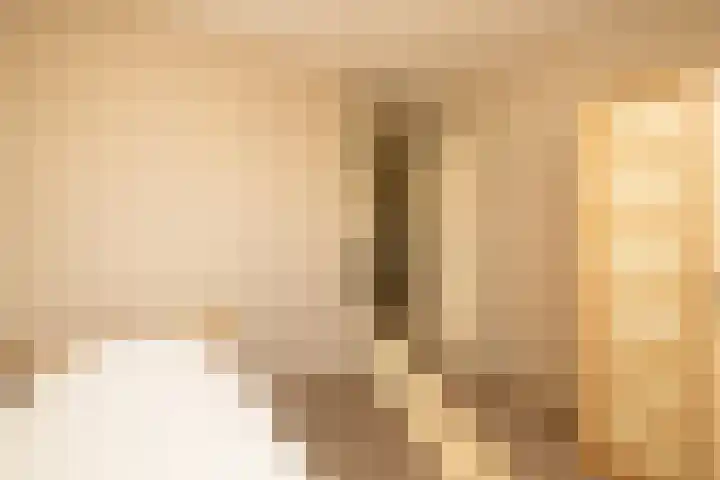 Lindehove 11 Kwintsheul thumbnail 32