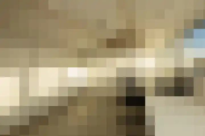Lindehove 11 Kwintsheul thumbnail 33