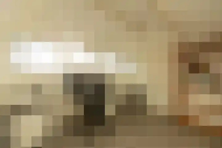 Lindehove 11 Kwintsheul thumbnail 34