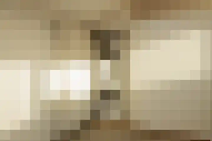 Lindehove 11 Kwintsheul thumbnail 35
