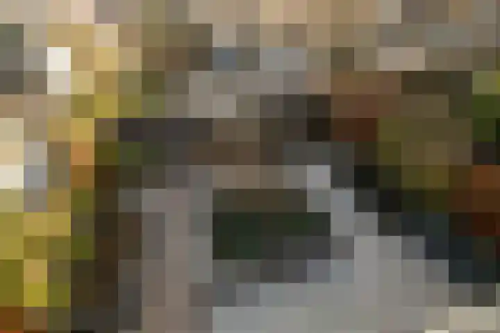 Lindehove 11 Kwintsheul thumbnail 36