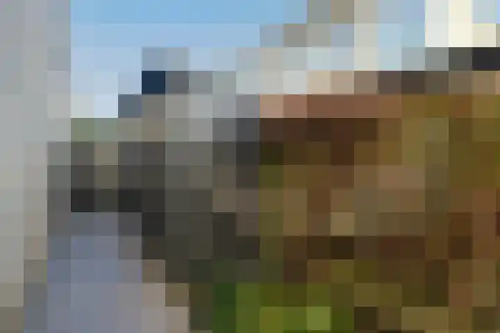 Lindehove 11 Kwintsheul thumbnail 42