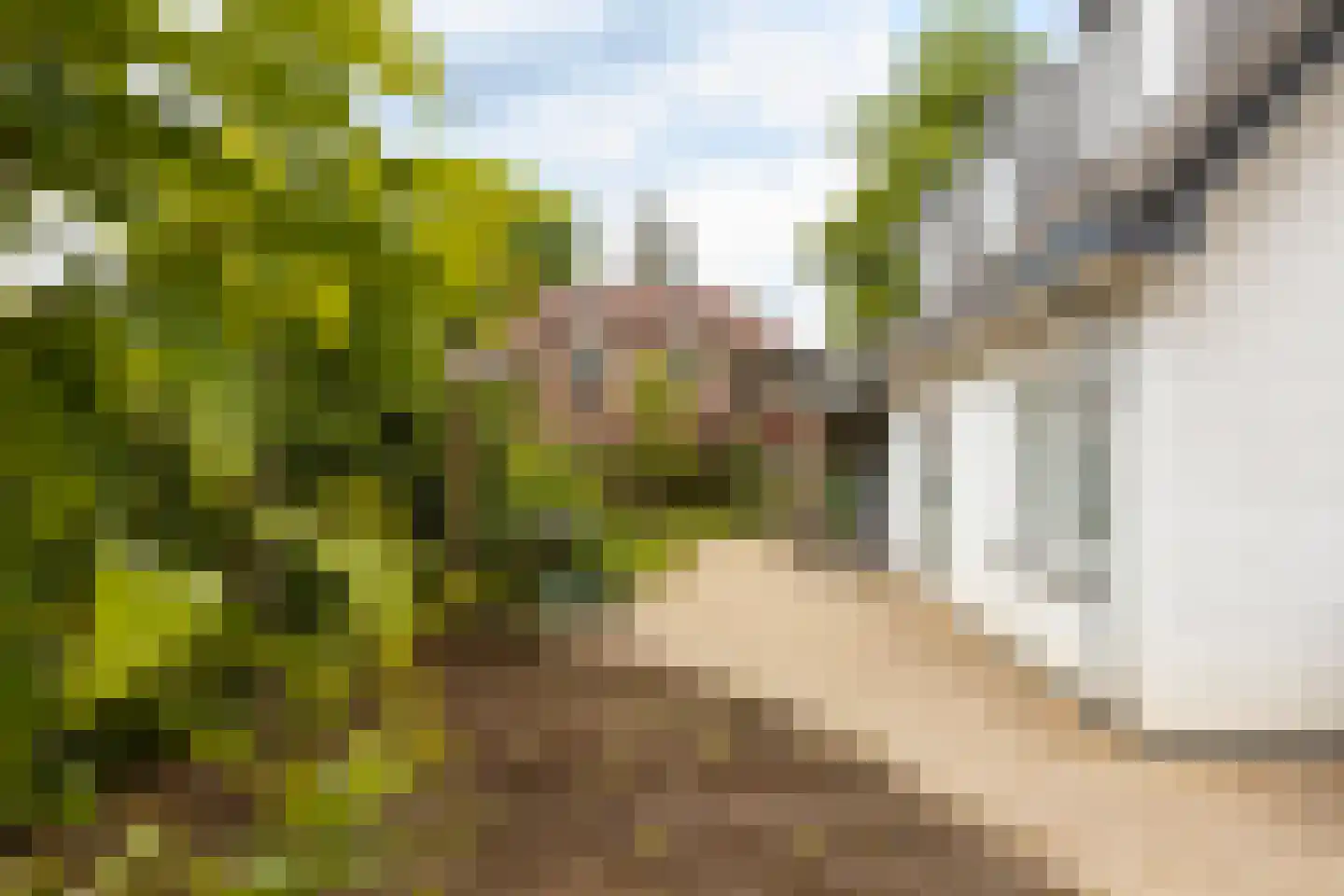 Lindelaan 1 A Ede thumbnail 15