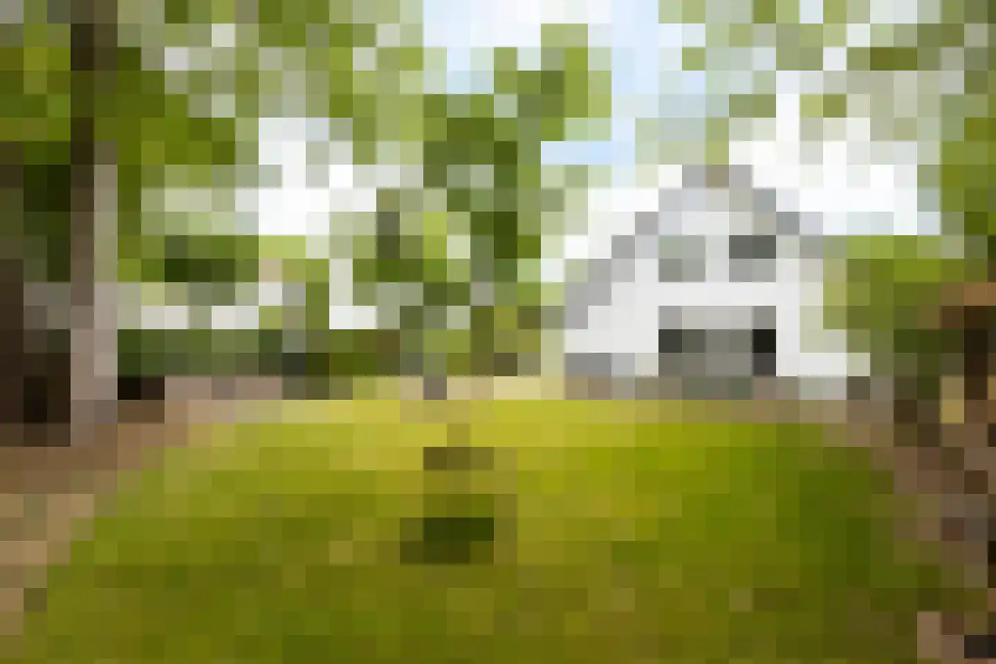 Lindelaan 1 A Ede thumbnail 16