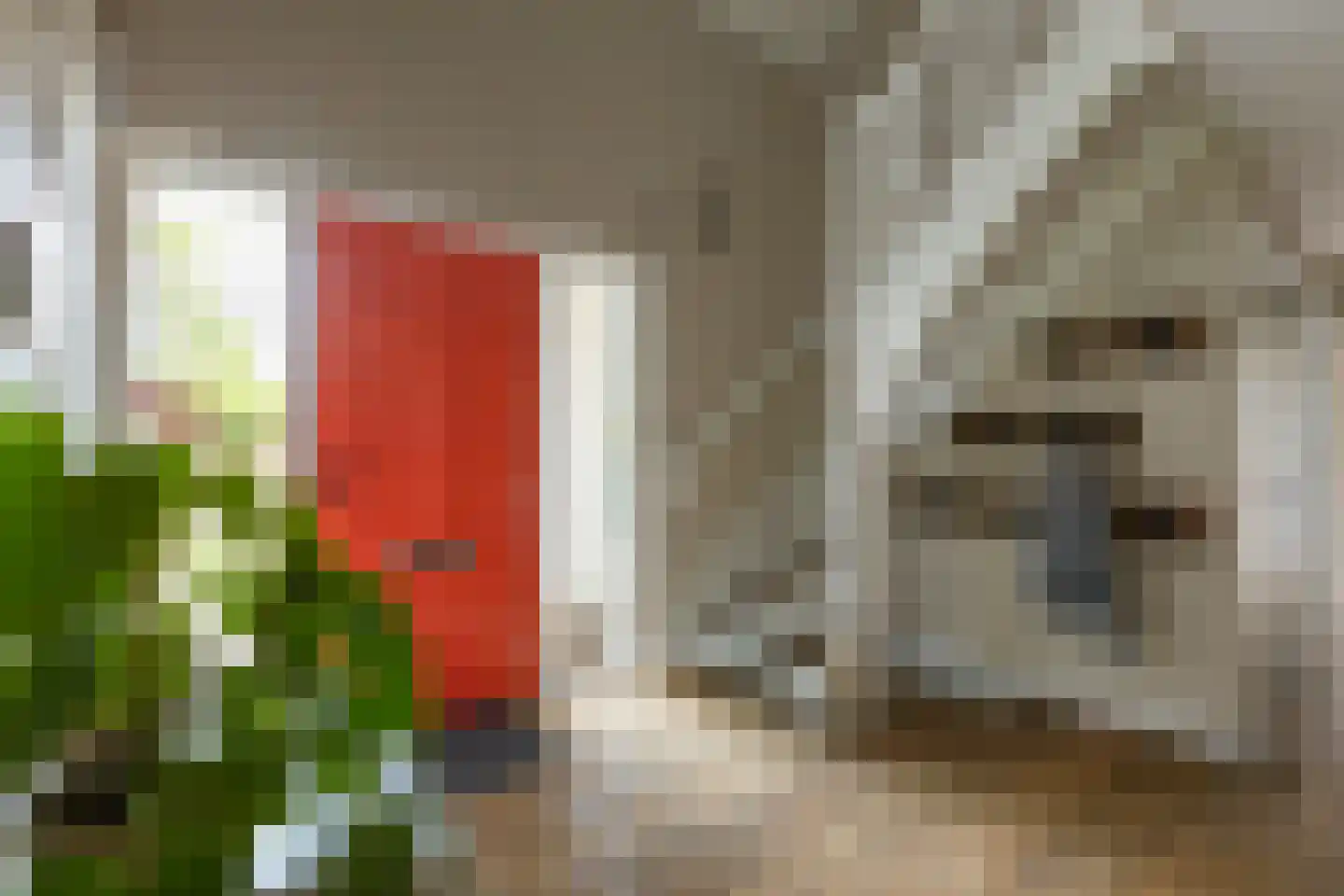 Lindelaan 1 A Ede thumbnail 17