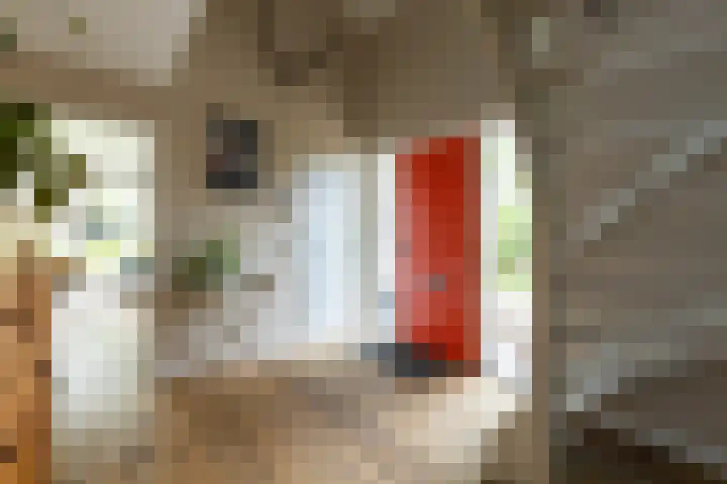 Lindelaan 1 A Ede thumbnail 18