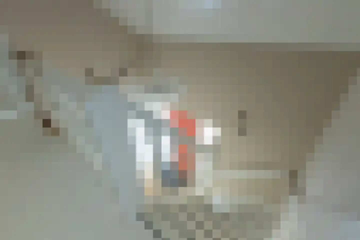 Lindelaan 1 A Ede thumbnail 37