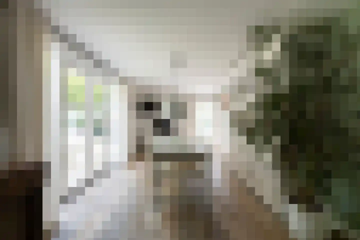 Lindelaan 1 A Ede thumbnail 5