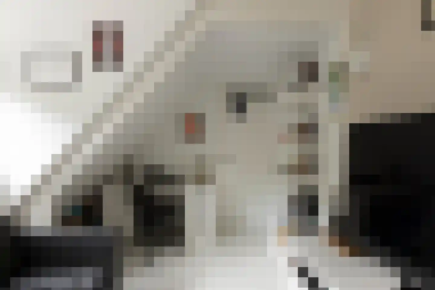 Lindelaan 1 A Ede thumbnail 60