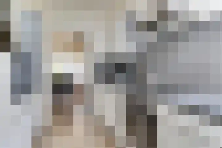 Lindelaan 1 Dieren thumbnail 11