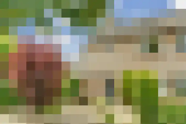Lindelaan 1 Dieren foto 3