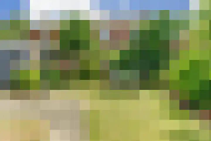 Lindelaan 1 Dieren thumbnail 30
