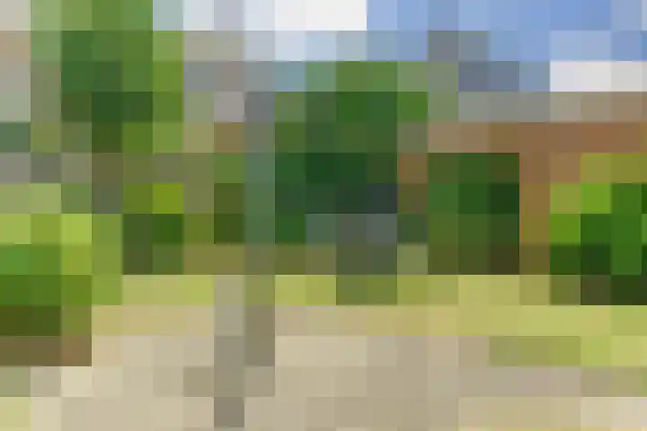 Lindelaan 1 Dieren thumbnail 31