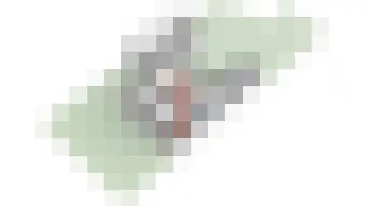 Lindelaan 1 Dieren thumbnail 38