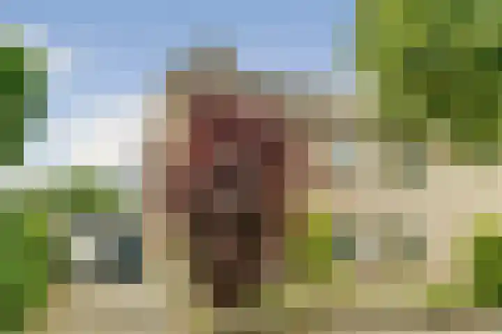 Lindelaan 1 Dieren thumbnail 40