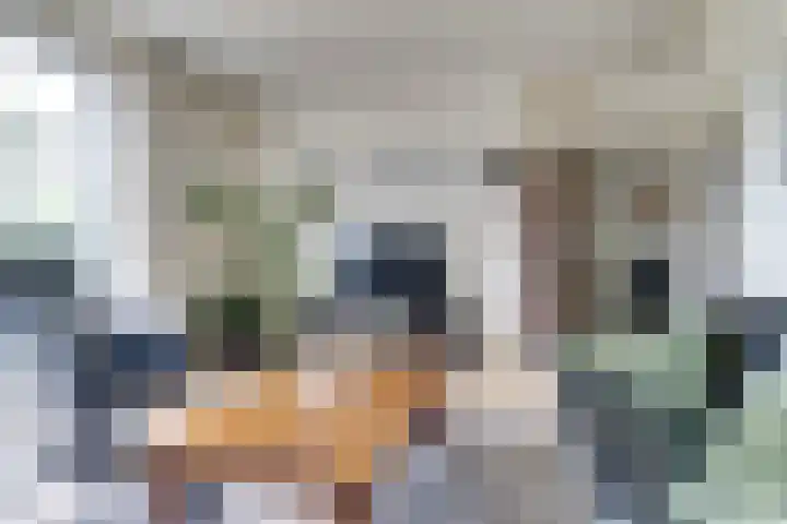 Lindelaan 1 Dieren thumbnail 6