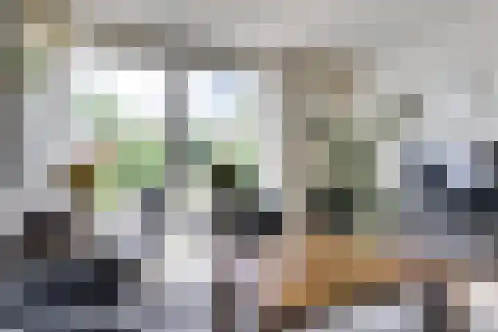 Lindelaan 1 Dieren thumbnail 7
