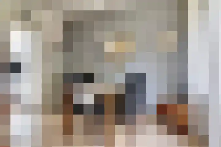Lindelaan 1 Dieren thumbnail 8
