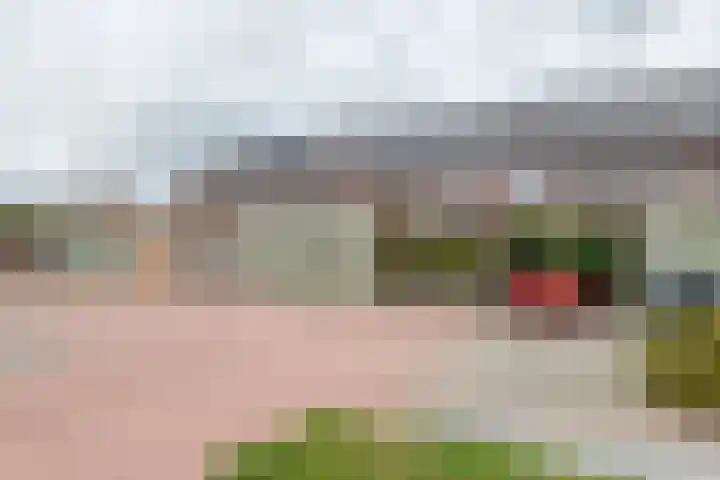 Lindelaan 1 e Maurik thumbnail 10