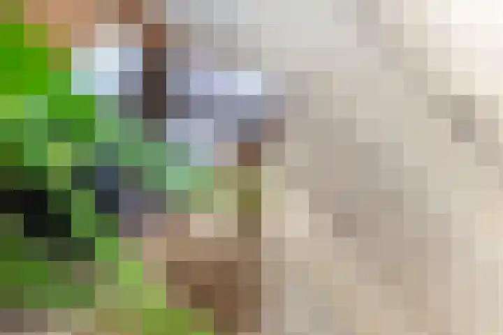 Lindelaan 1 e Maurik thumbnail 12