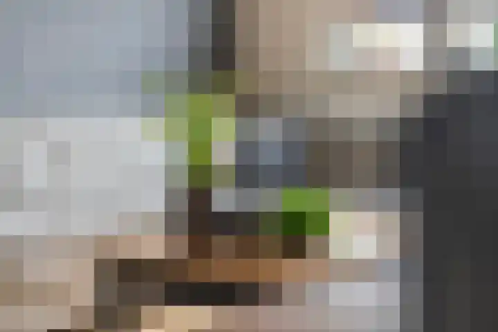 Lindelaan 1 e Maurik thumbnail 15
