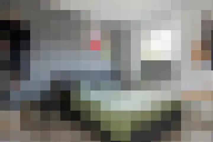 Lindelaan 1 e Maurik thumbnail 29