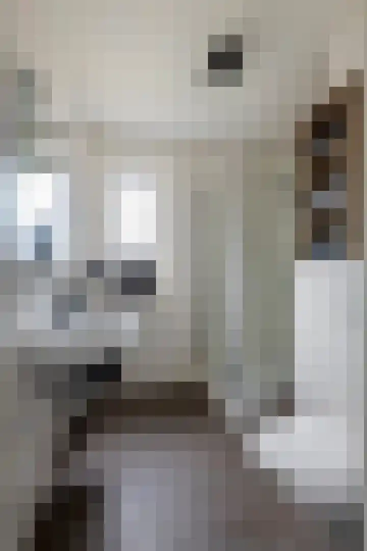 Lindelaan 1 e Maurik thumbnail 31