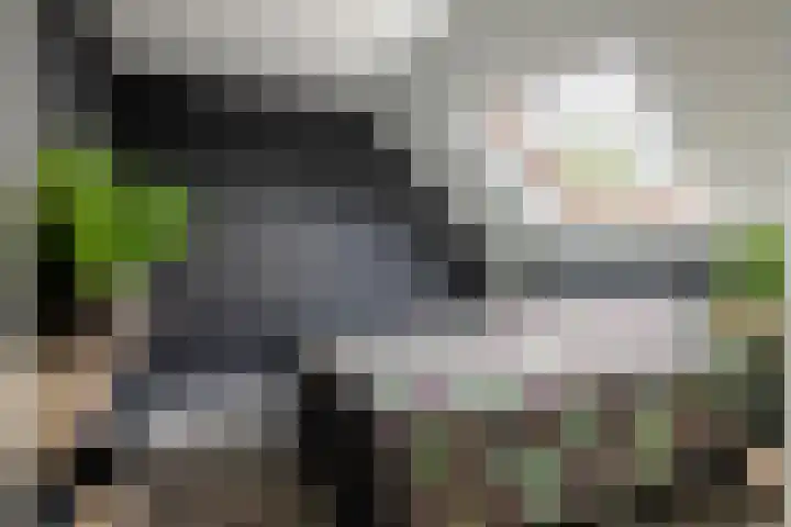 Lindelaan 1 e Maurik thumbnail 34