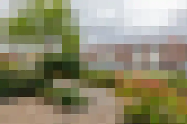 Lindelaan 1 e Maurik thumbnail 37