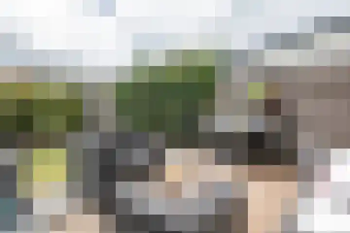 Lindelaan 1 e Maurik thumbnail 6
