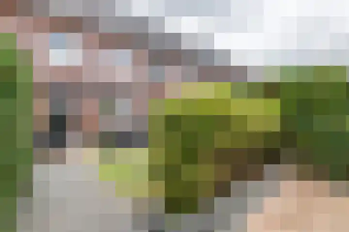 Lindelaan 1 e Maurik thumbnail 8