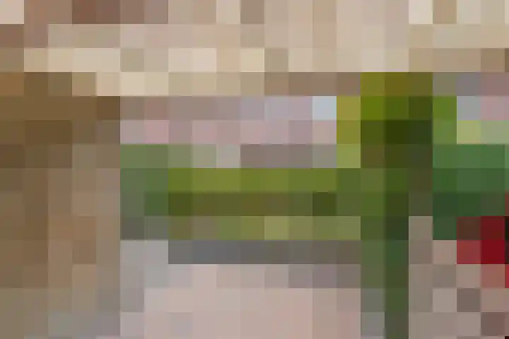 Lindelaan 1 e Maurik thumbnail 9