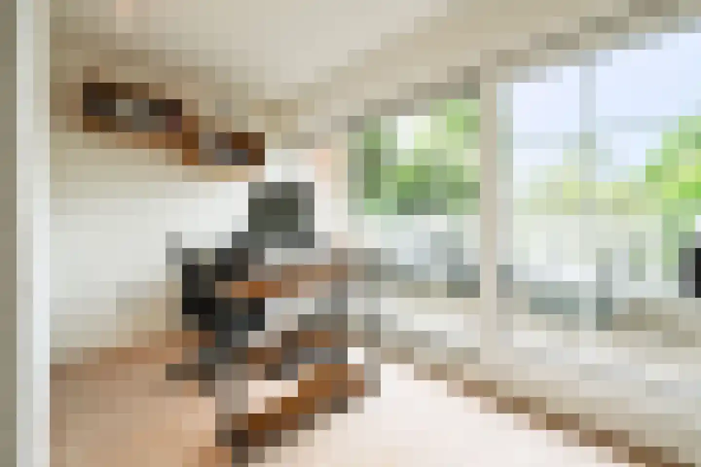Lindelaan 10 A Renkum thumbnail 24