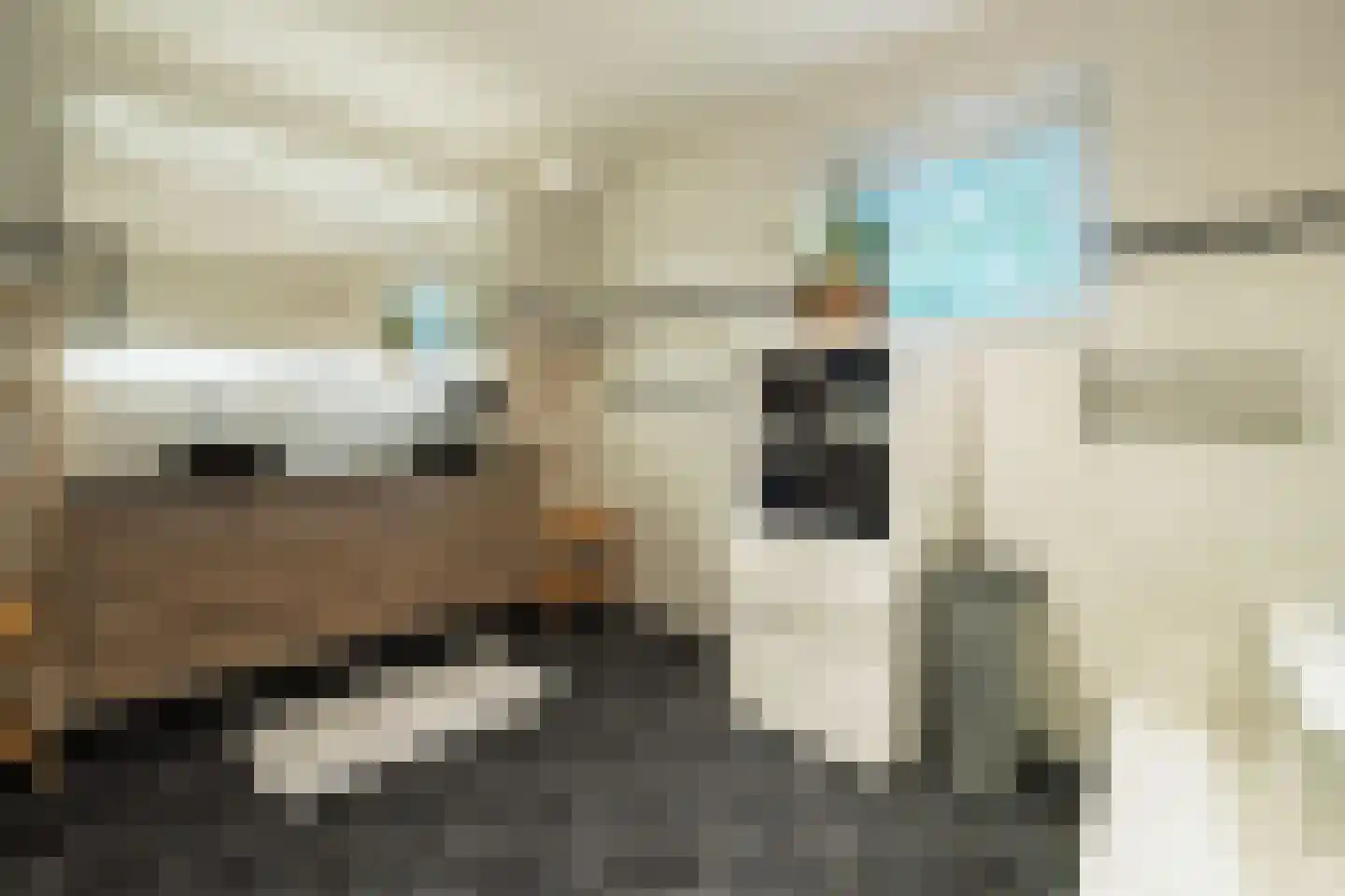 Lindelaan 10 A Renkum thumbnail 25