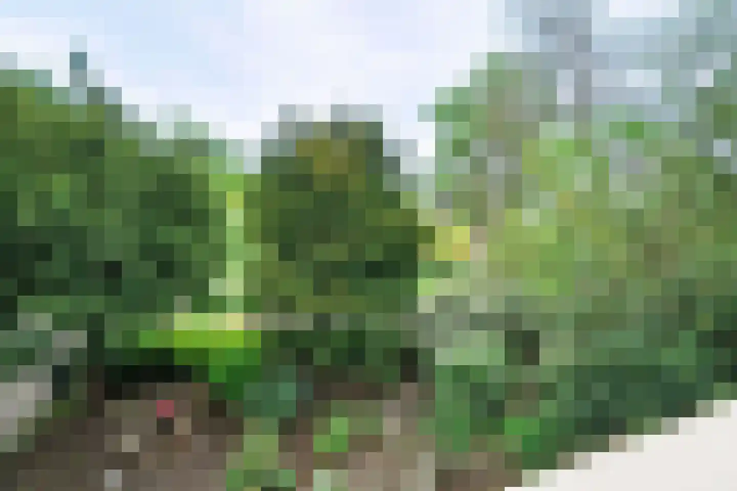 Lindelaan 10 A Renkum thumbnail 28