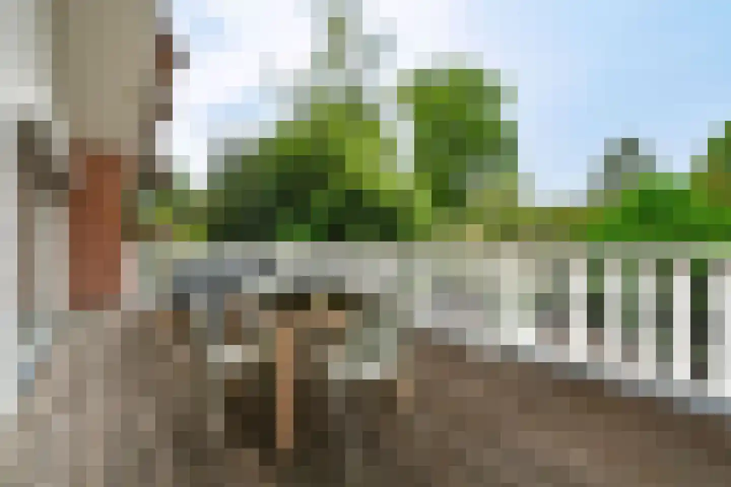 Lindelaan 10 A Renkum thumbnail 29