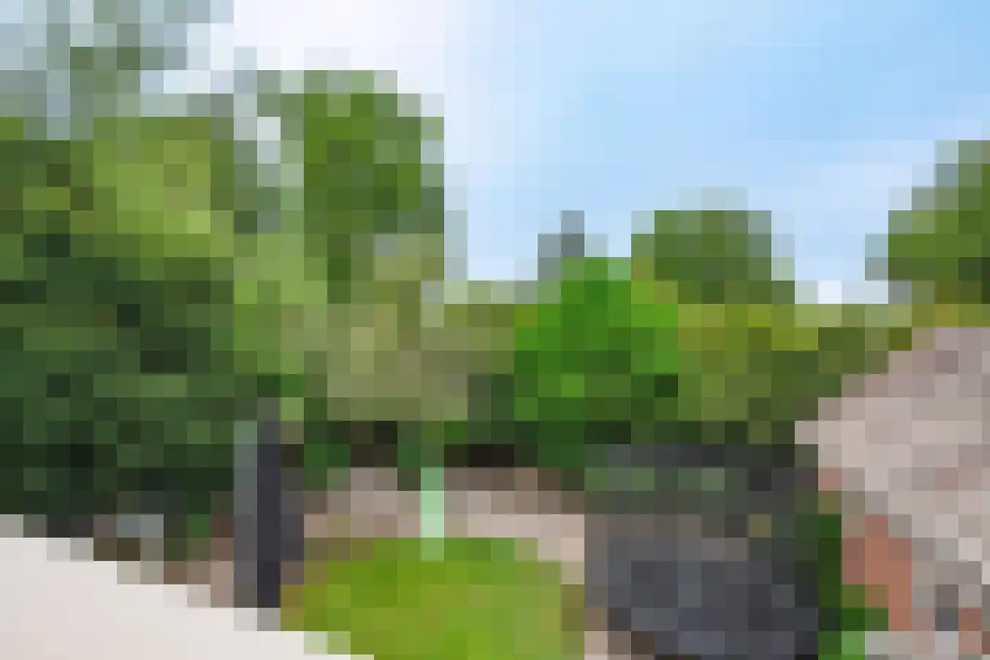 Lindelaan 10 A Renkum thumbnail 30