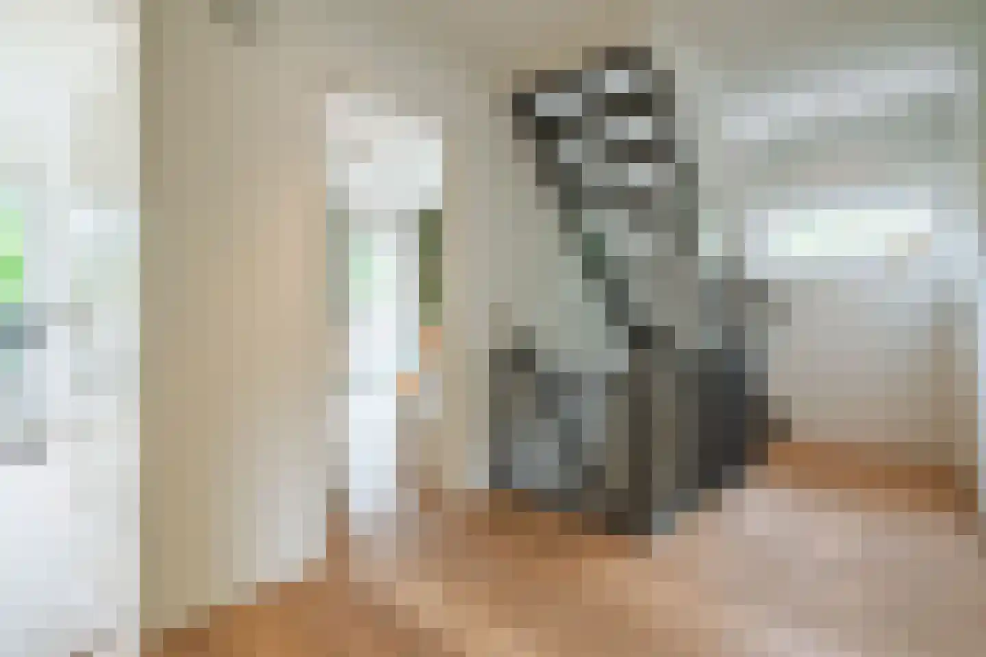 Lindelaan 10 A Renkum thumbnail 31