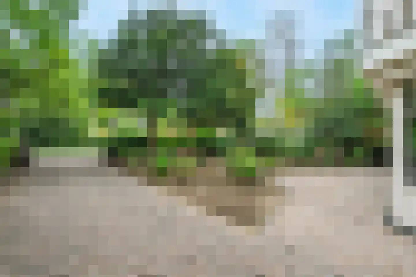 Lindelaan 10 A Renkum thumbnail 36