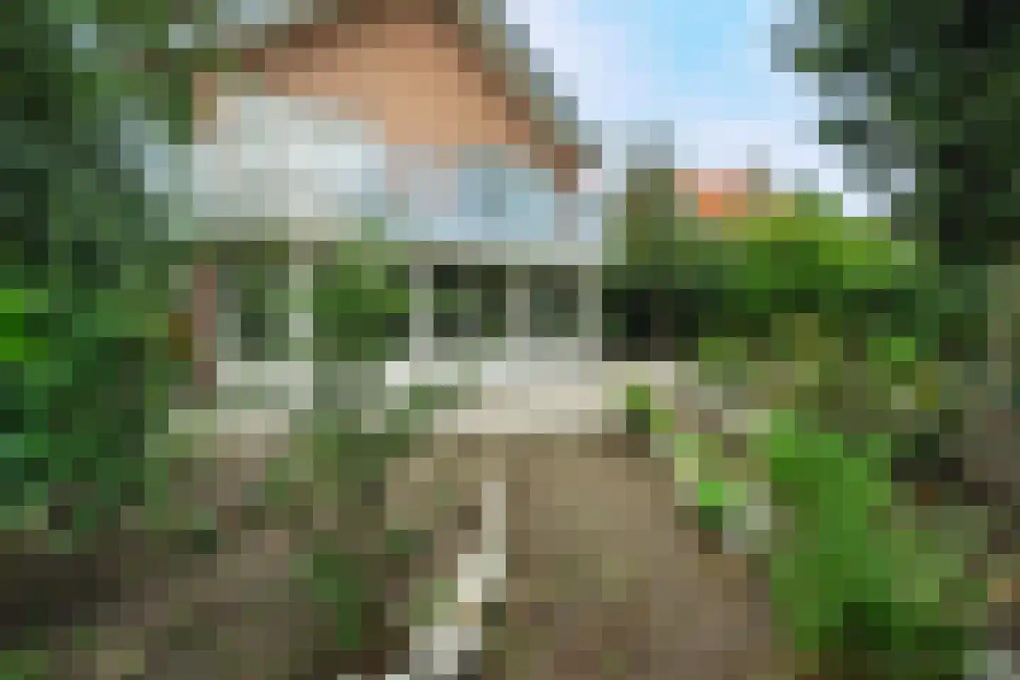 Lindelaan 10 A Renkum thumbnail 47