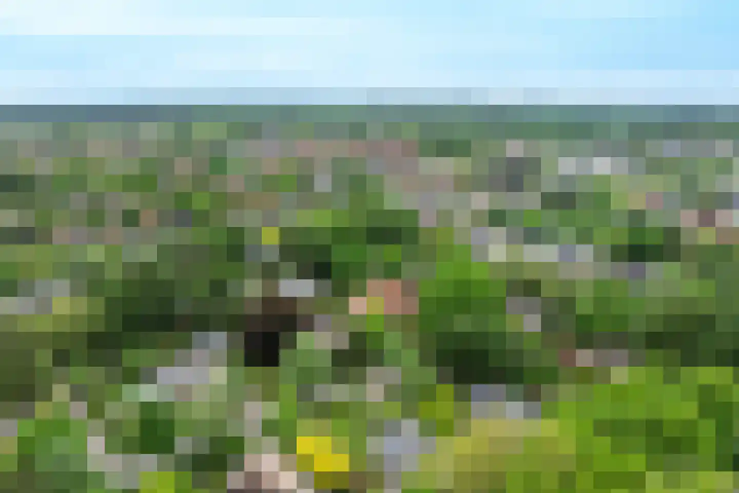 Lindelaan 10 A Renkum thumbnail 49
