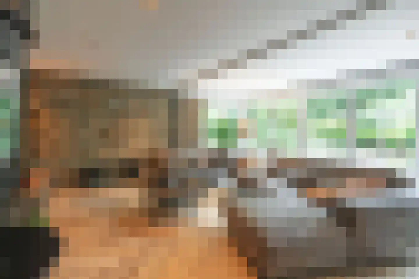 Lindelaan 10 A Renkum thumbnail 5