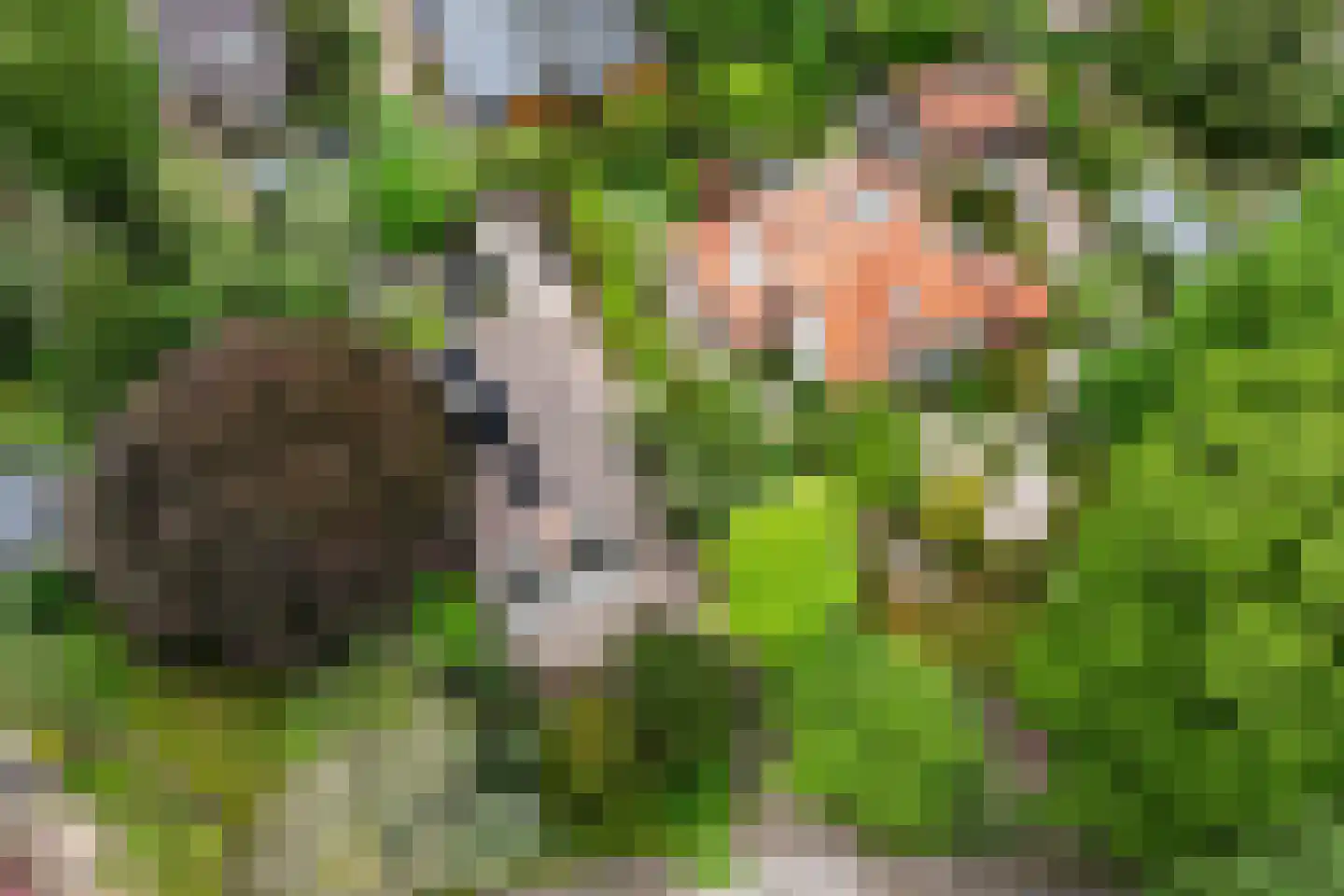Lindelaan 10 A Renkum thumbnail 50