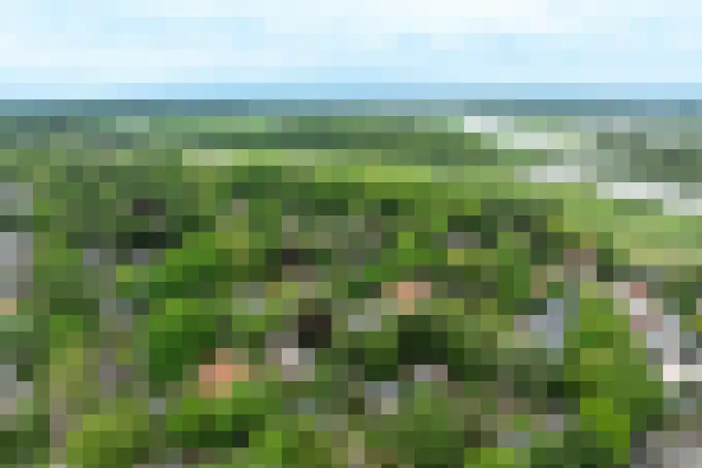 Lindelaan 10 A Renkum thumbnail 52