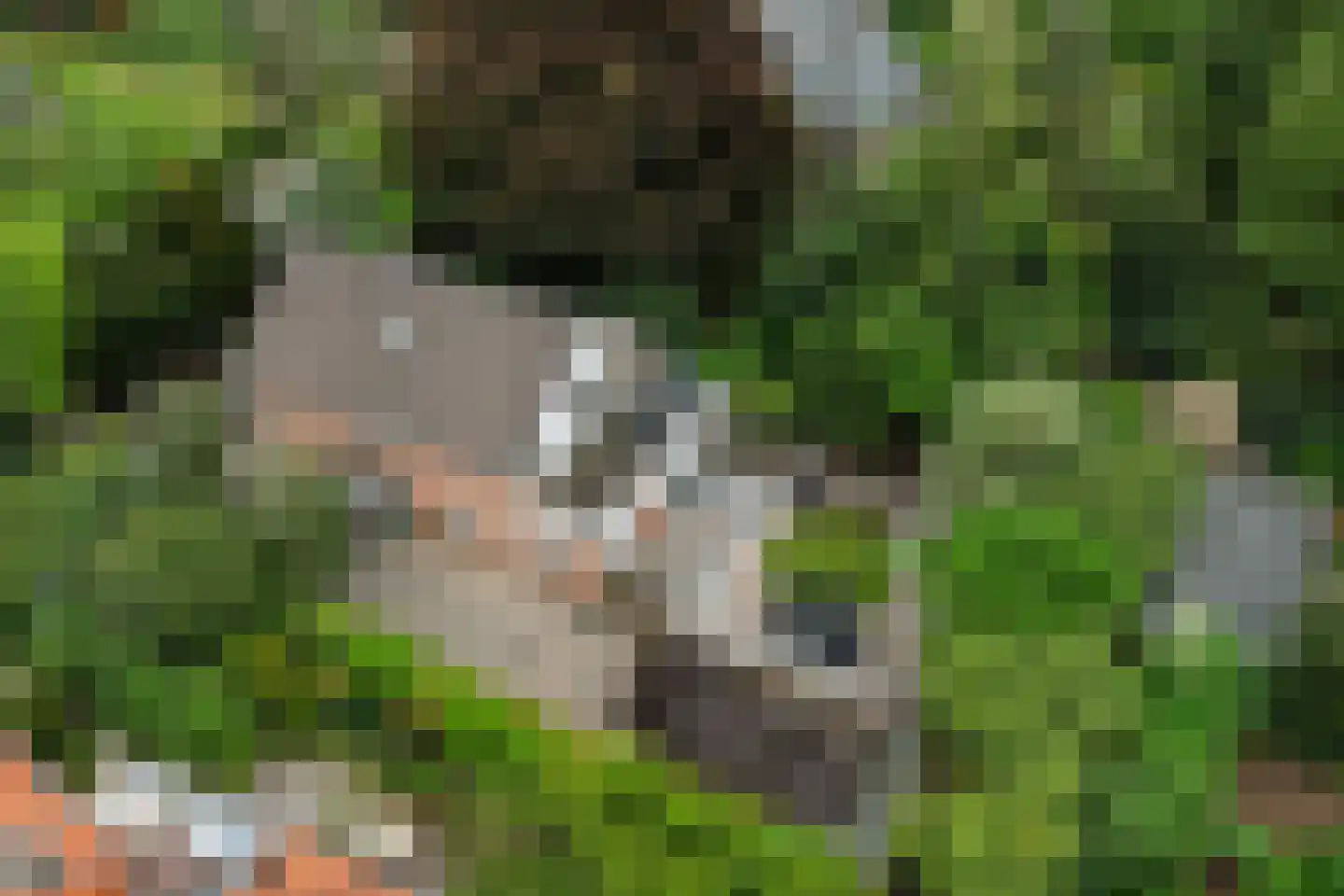 Lindelaan 10 A Renkum thumbnail 53