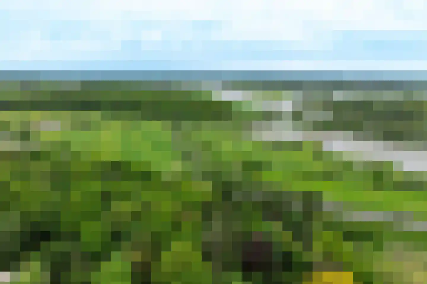 Lindelaan 10 A Renkum thumbnail 54
