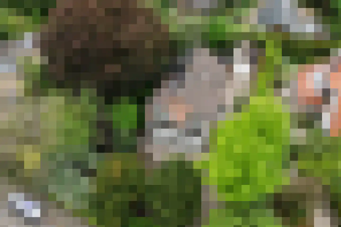 Lindelaan 10 A Renkum thumbnail 56